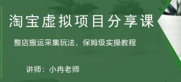 淘宝虚拟整店搬运采集玩法分享课：整店搬运采集玩法，保姆级实操教程-千城资源网