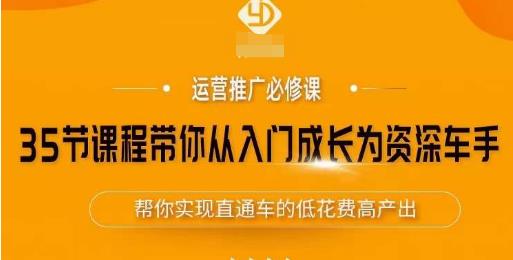 35节课程带你从入门成长为资深车手，让系统学习直通车成为可能，帮你实现直通车的低花费高产出-千城资源网