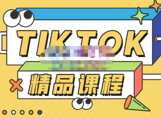 电商孵化中心·TikTok精品课程，教你玩转海外抖音，低成本创业，带您从0开始玩转TikTok-千城资源网
