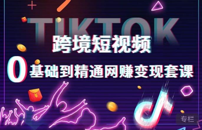 跨境短视频TIKTOK 0基础到精通网赚变现套课，跨境短视频独立站带货变现技巧-千城资源网