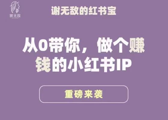 谢无敌·小红书运营大宝典，从0带你做个赚钱的小红书IP-千城资源网