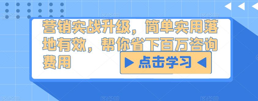 营销实战升级，简单实用落地有效，帮你省下百万咨询费用-千城资源网