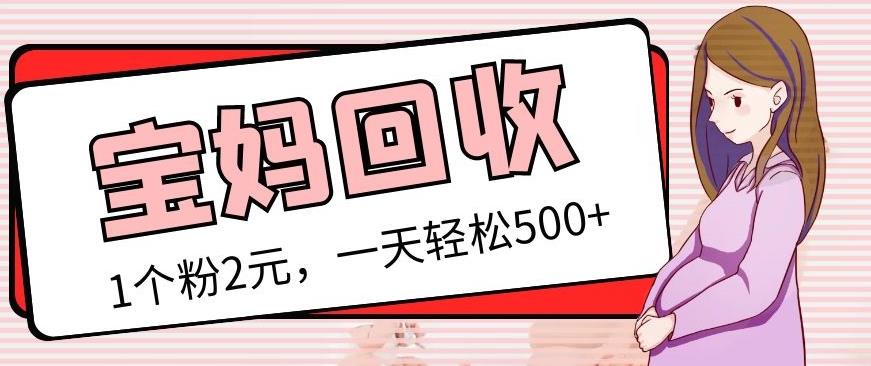 最新宝妈粉回收变现计划及胎教音乐高端变现玩法全套教程！（非老玩法）-千城资源网