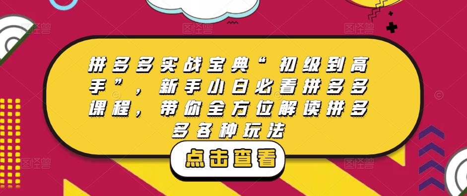 拼多多实战宝典“初级到高手”，新手小白必看拼多多课程，带你全方位解读拼多多各种玩法-千城资源网