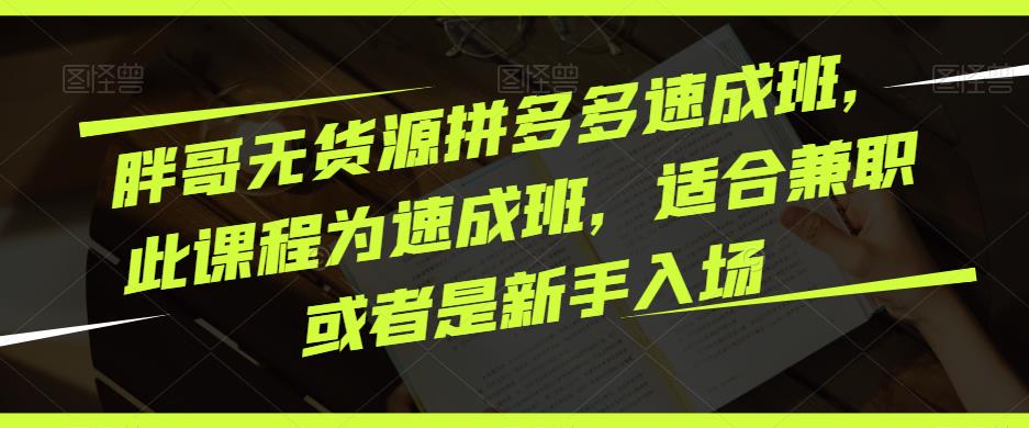 胖哥无货源拼多多速成班，此课程为速成班，适合兼职或者是新手入场-千城资源网