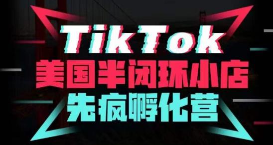 疯人院·TikTok美国半闭环小店孵化营，抢占TikTok美国蓝海市场，开店、运营、带货、投流全实操-千城资源网