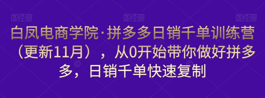 白凤电商学院·拼多多日销千单训练营，从0开始带你做好拼多多，日销千单快速复制（更新知2023年3月）-千城资源网