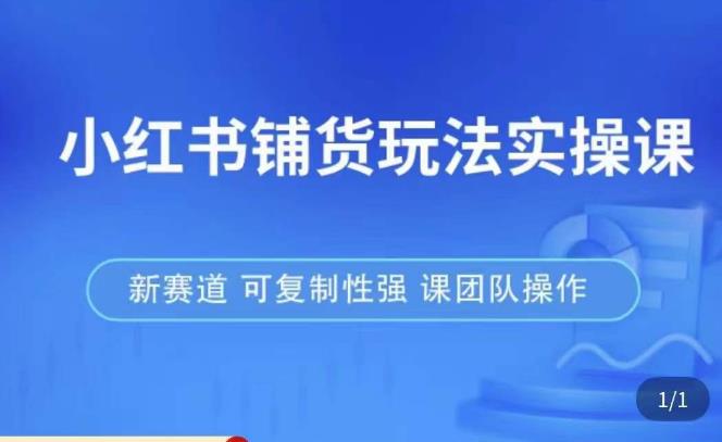 小红书铺货玩法实操课，流量大，竞争小，非常好做，新赛道，可复制性强，可团队操作-千城资源网