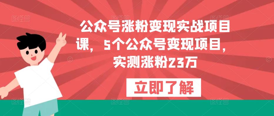 公众号涨粉变现实战项目课，5个公众号变现项目，实测涨粉23万-千城资源网