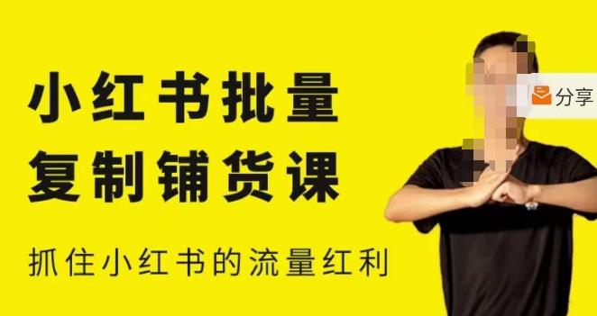 张宾·小红书批量复制铺货课，小红书0-1快速起号变现玩法，抓住小红书的流量红利（更新2023年3月）-千城资源网