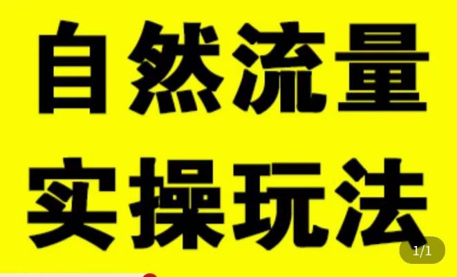 拼多多自然流量天花板，拼多多自然流的实操玩法，自然流量是怎么来的，如何开车带来自然流等知识-千城资源网