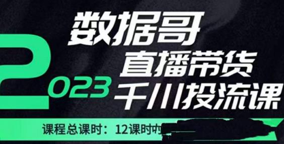 数据哥2023直播电商巨量千川付费投流实操课，快速掌握直播带货运营投放策略-千城资源网
