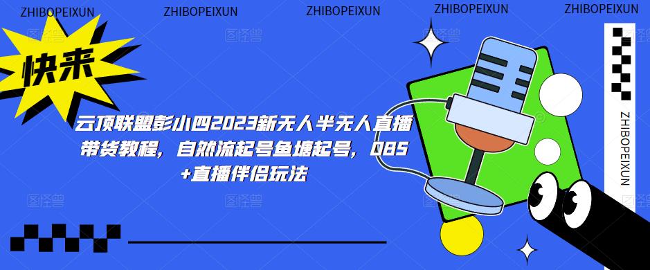 云顶联盟彭小四2023新无人半无人直播带货教程，自然流起号鱼塘起号，OBS+直播伴侣玩法-千城资源网