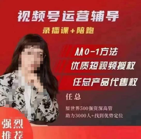 任姐视频号运营，懂老板的任总视频号短视频运营，从0到1做视频号课程-千城资源网