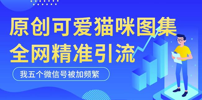 黑科技纯原创可爱猫咪图片，全网精准引流，实操5个VX号被加频繁-千城资源网
