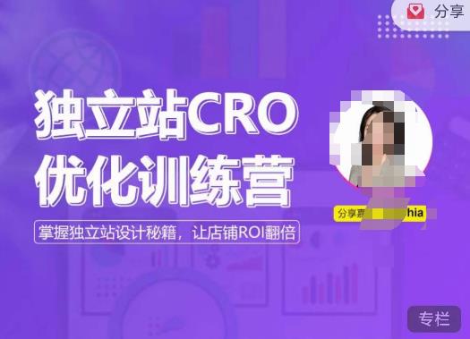 独立站CRO优化训练营，掌握独立站设计秘籍，打造高转化的独立站，让店铺ROI翻倍-千城资源网