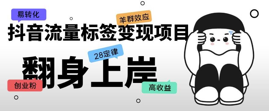抖音流量标签变现项目，抖音创业粉轻松转化，单价高收益简单-千城资源网
