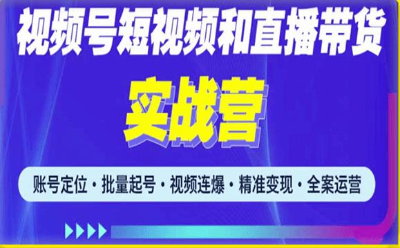 2023最新微信视频号引流和变现全套运营实战课程，小白也能玩转视频号短视频和直播运营-千城资源网