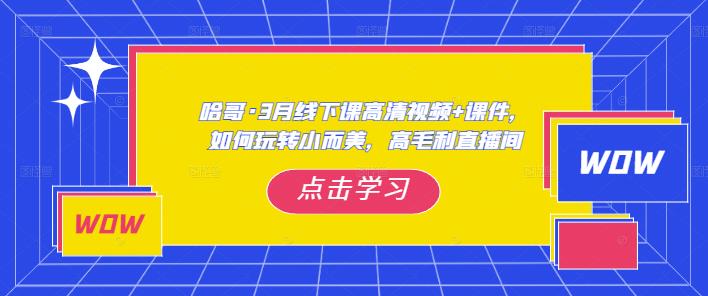哈哥·3月线下实操课高清视频+课件，如何玩转小而美，高毛利直播间-千城资源网
