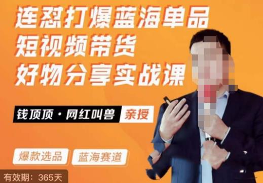 网红叫兽·连怼打爆蓝海单品，短视频带货好物分享实战课-千城资源网