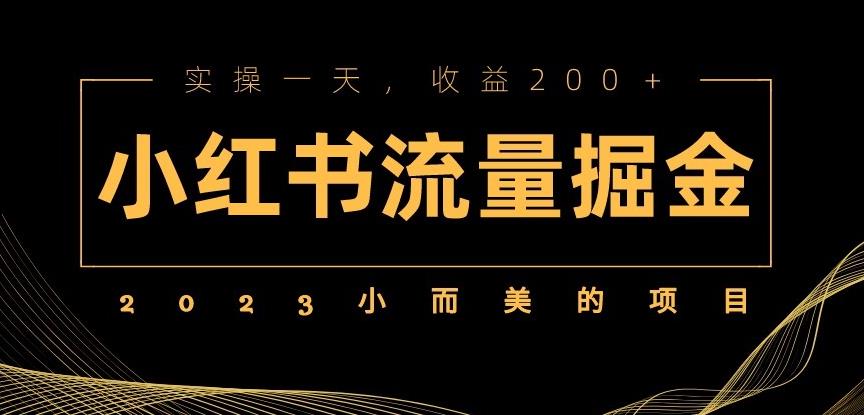2023小而美的项目，小红书流量掘金，实操一天，收益200+【揭秘】-千城资源网