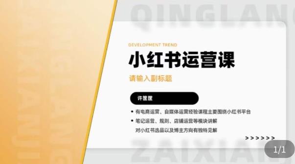 许筐筺·小红书运营课，​笔记运营、规则、店铺运营等模块讲解，学会自己独立运营小红书账号-千城资源网