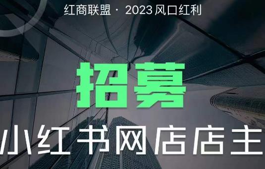 红商联盟·小红书无货源电商1.0，0粉丝无需囤货，小白也可以轻松上手的无货源项目-千城资源网