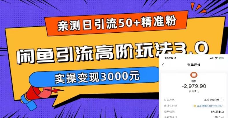 亲测日引50+精准粉，闲鱼引流高阶玩法3.0，实操变现3000元【揭秘】-千城资源网