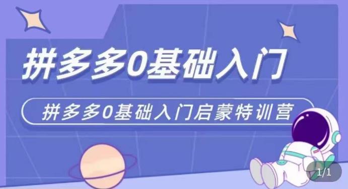 拼多多运营0-1实操特训营，拼多多0基础入门，从基础到进阶的可实操玩法-千城资源网