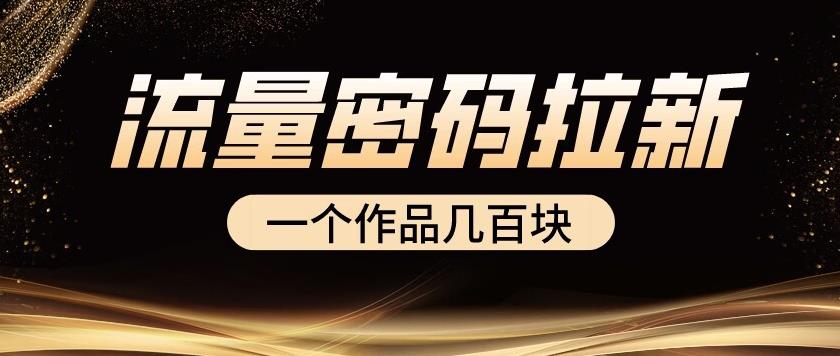 流量密码拉新项目， 一个作品几百块-千城资源网