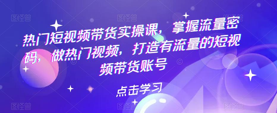 热门短视频带货实操课，掌握流量密码，做热门视频，打造有流量的短视频带货账号-千城资源网