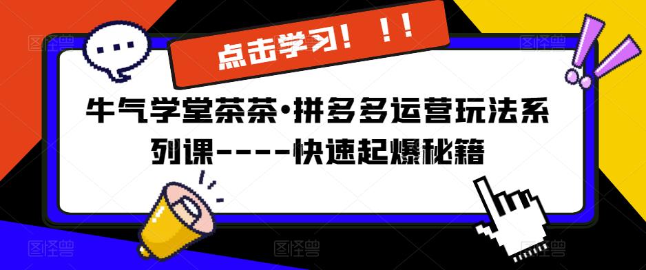 牛气学堂茶茶•拼多多运营玩法系列课—-快速起爆秘籍【更新】-千城资源网