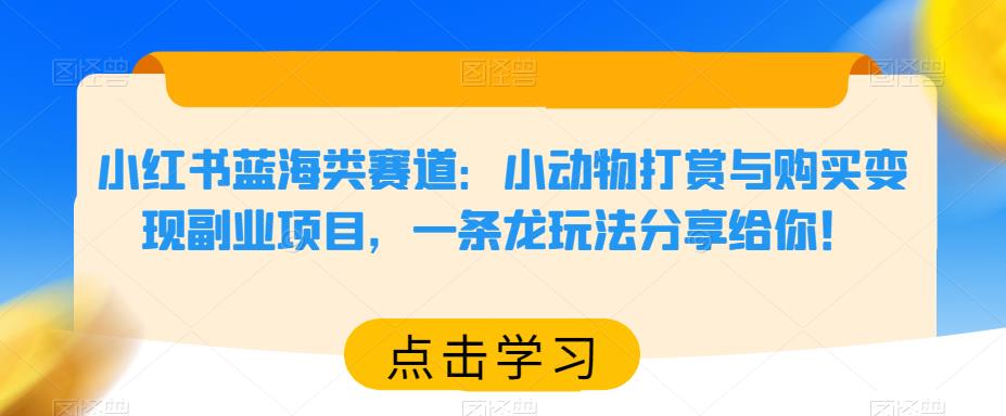 小红书蓝海类赛道：小动物打赏与购买变现副业项目，一条龙玩法分享给你！-千城资源网