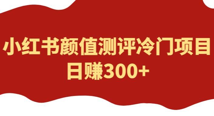 外面1980的项目，小红书颜值测评冷门项目，日赚300+【揭秘】-千城资源网