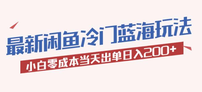 2023最新闲鱼冷门蓝海玩法，小白零成本当天出单日入200+【揭秘】-千城资源网