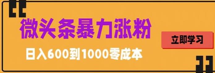 微头条暴力涨粉技巧搬运文案就能涨几万粉丝，简单0成本，日赚600【揭秘】-千城资源网