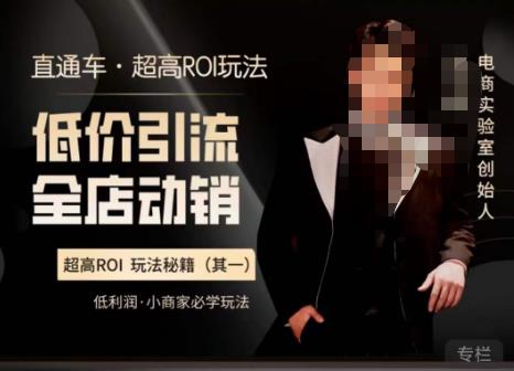 电商冰可乐·直通车·《低价引流·全店动销》，直通车·超高ROI玩法（其一）全店动销必学玩法-千城资源网