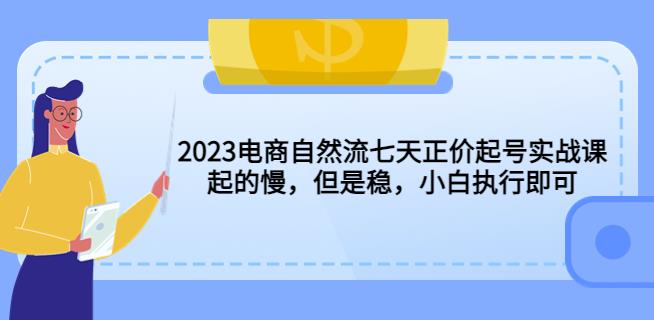 2023电商自然流七天正价起号实战课：起的慢，但是稳，小白执行即可！-千城资源网