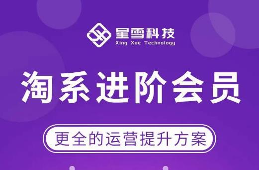 星雪·淘系进阶课程，快速提升突破技能流量瓶颈必备（更新2023年5月）-千城资源网