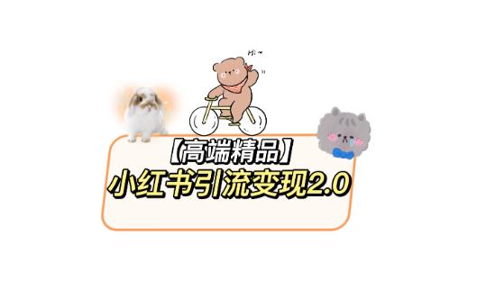 小红书最新引流变现教程，全网最新最详细的视频教程以及素材-千城资源网