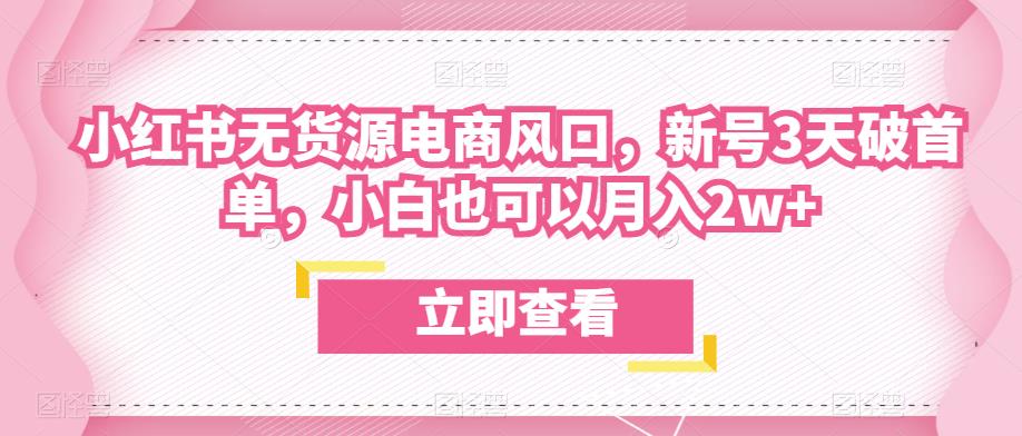 众狼电商余文小红书无货源电商风口，新号3天破首单，小白也可以月入2w+-千城资源网