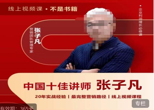 张子凡·20年实战经验，揭秘营销背后的底层逻辑，突破思维局限，从根本上破解营销难题-千城资源网