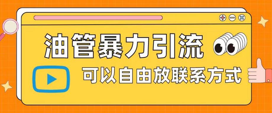 油管暴力引流，可以自由放联系方式【揭秘】-千城资源网