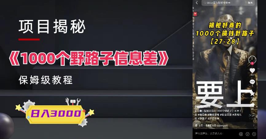 1000个野路子信息差保姆式教程-单日变现3000+的玩法解密-千城资源网