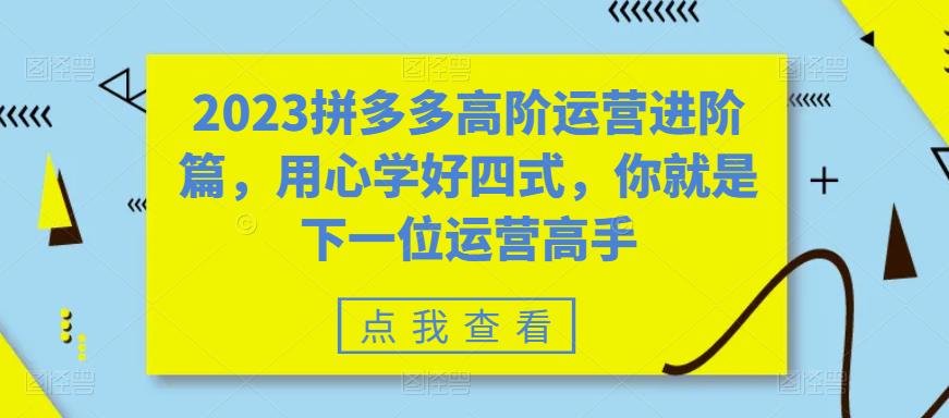 2023拼多多高阶运营进阶篇，用心学好四式，你就是下一位运营高手-千城资源网