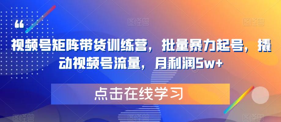 视频号矩阵带货训练营，批量暴力起号，撬动视频号流量，月利润5w+-千城资源网