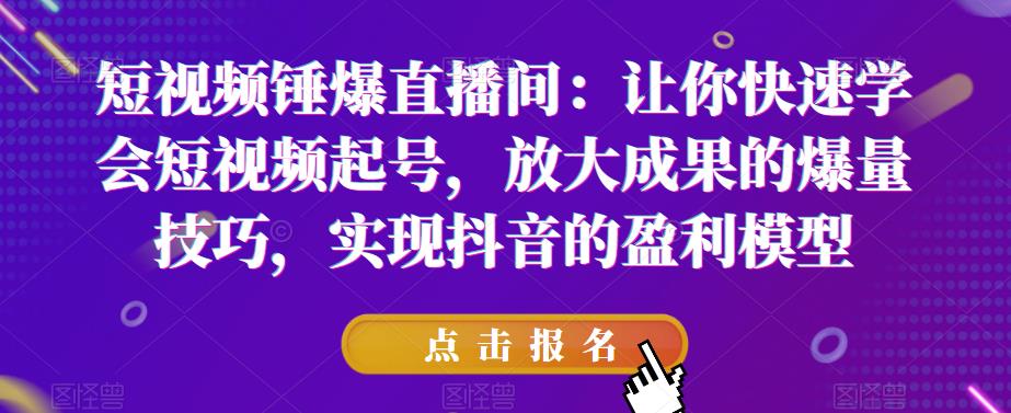 短视频锤爆直播间：让你快速学会短视频起号，放大成果的爆量技巧，实现抖音的盈利模型-千城资源网