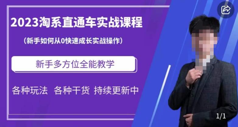 2023淘系直通车保姆式运营讲解，新手如何从0快速成长实战操作，新手多方位全能教学-千城资源网