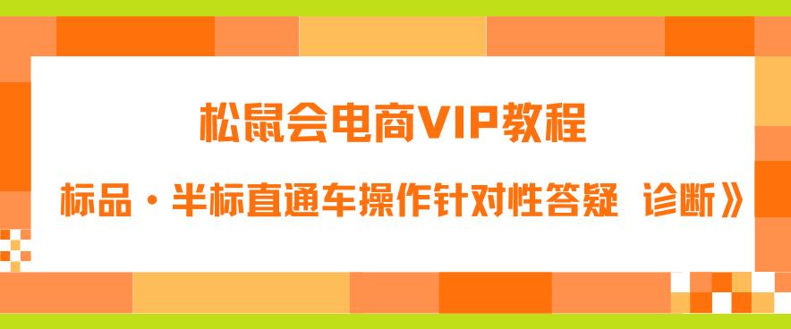 松鼠会电商VIP教程：松鼠《付费推广标品·半标直通车操作针对性答疑&诊断》-千城资源网