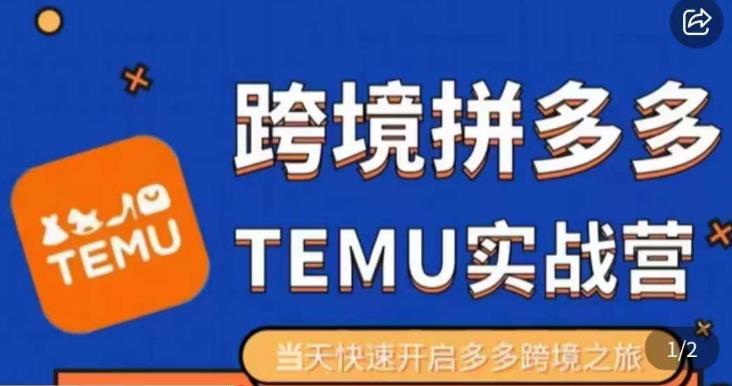 大鹏出海·拼多多跨境temu运营指导，开店注册+选品+核价上架，日出千单实战课-千城资源网